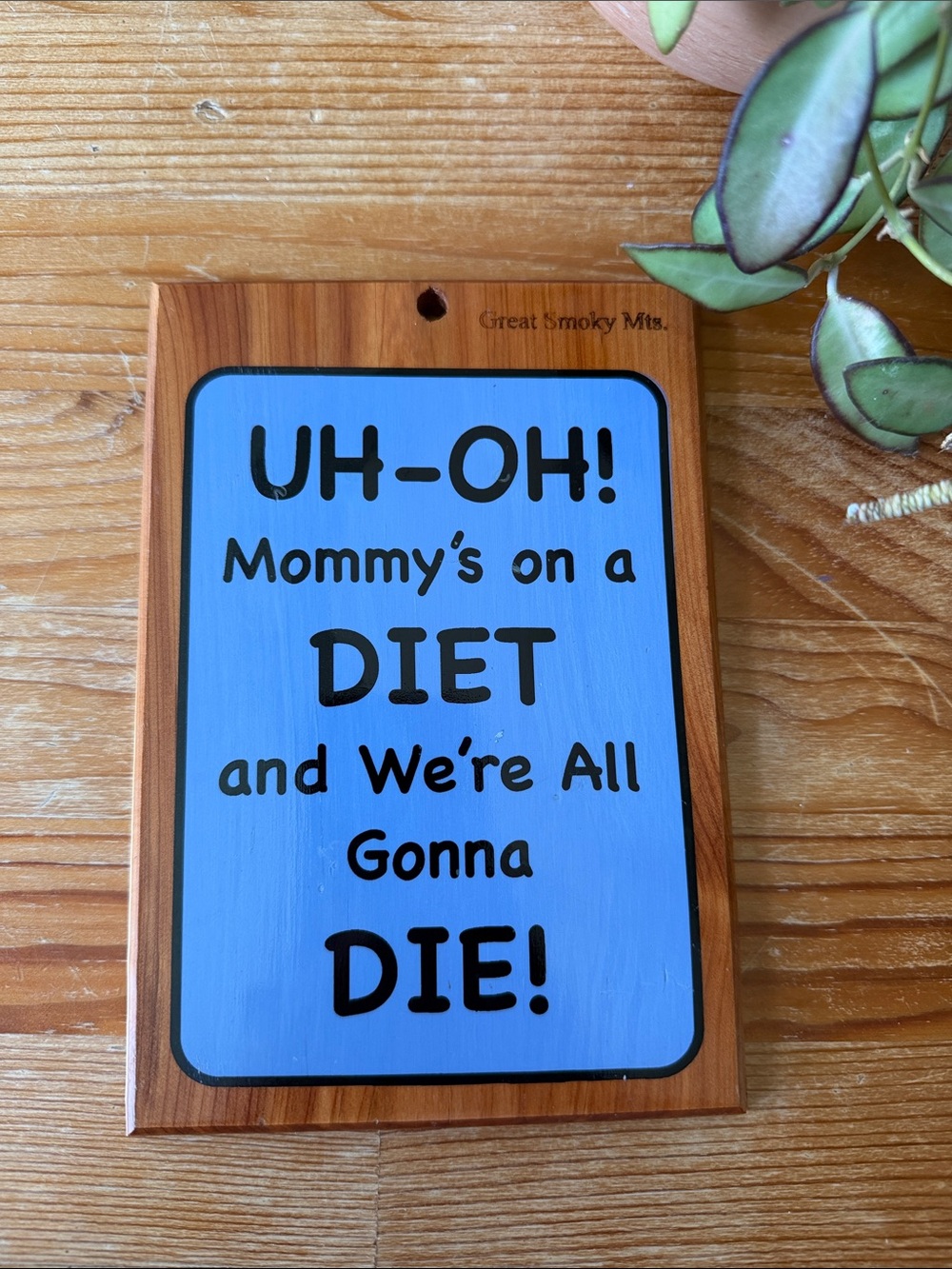 Vintage Wooden Humorous Sign - "Uh-Oh! Mommy's on a Diet"
